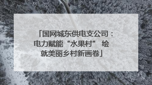 国网城东供电支公司：电力赋能“水果村” 绘就美丽乡村新画卷