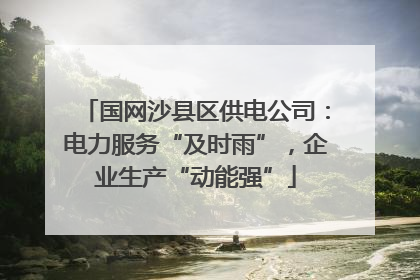 国网沙县区供电公司：电力服务“及时雨”，企业生产“动能强”