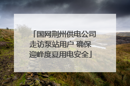 国网荆州供电公司走访泵站用户 确保迎峰度夏用电安全