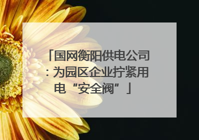 国网衡阳供电公司：为园区企业拧紧用电“安全阀”