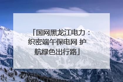 国网黑龙江电力：织密端午保电网 护航绿色出行路