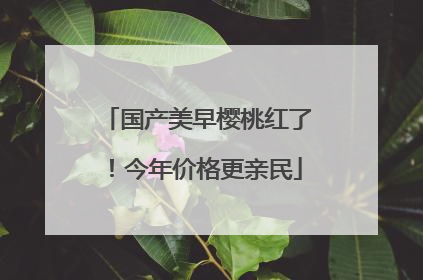 国产美早樱桃红了！今年价格更亲民