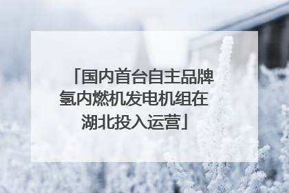 国内首台自主品牌氢内燃机发电机组在湖北投入运营