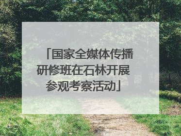 国家全媒体传播研修班在石林开展参观考察活动