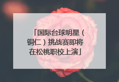 国际台球明星（铜仁）挑战赛即将在松桃职校上演