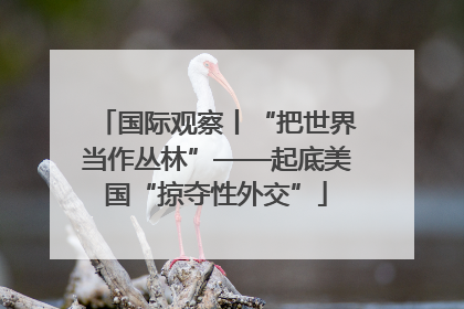 国际观察丨“把世界当作丛林”——起底美国“掠夺性外交”