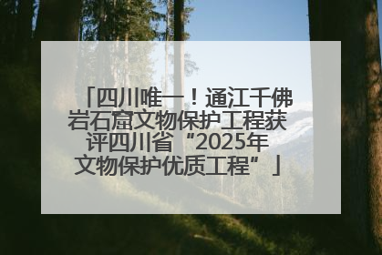 四川唯一！通江千佛岩石窟文物保护工程获评四川省“2025年文物保护优质工程”