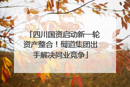 四川国资启动新一轮资产整合！蜀道集团出手解决同业竞争