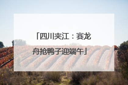 四川夹江：赛龙舟抢鸭子迎端午