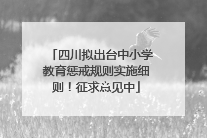 四川拟出台中小学教育惩戒规则实施细则！征求意见中