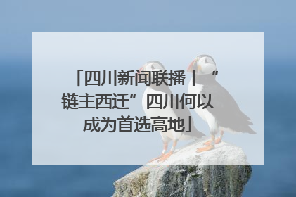 四川新闻联播丨“链主西迁”四川何以成为首选高地