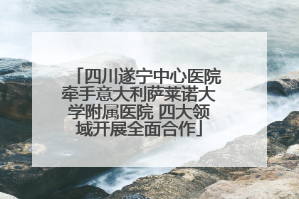 四川遂宁中心医院牵手意大利萨莱诺大学附属医院 四大领域开展全面合作