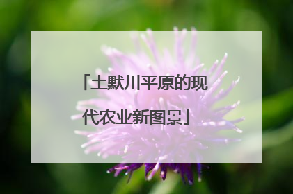 土默川平原的现代农业新图景