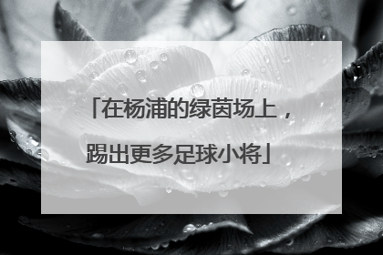 在杨浦的绿茵场上，踢出更多足球小将