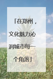 在郑州，文化魅力沁润城市每一个角落