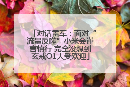 对话雷军：面对“流量反噬”小米会谨言慎行 完全没想到玄戒O1大受欢迎