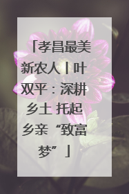 孝昌最美新农人丨叶双平：深耕乡土 托起乡亲“致富梦”