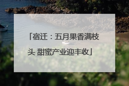 宿迁：五月果香满枝头 甜蜜产业迎丰收