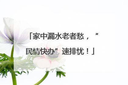 家中漏水老者愁，“民情快办”速排忧！