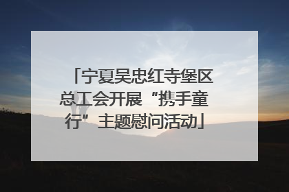 宁夏吴忠红寺堡区总工会开展“携手童行”主题慰问活动
