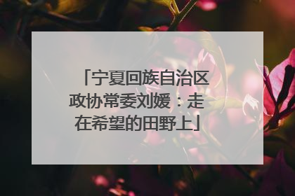 宁夏回族自治区政协常委刘媛：走在希望的田野上