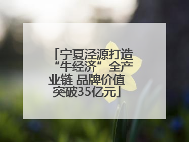 宁夏泾源打造“牛经济”全产业链 品牌价值突破35亿元