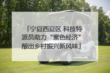 宁夏西夏区 科技特派员助力“紫色经济”酿出乡村振兴新风味