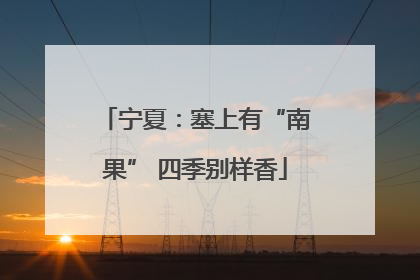 宁夏：塞上有“南果” 四季别样香