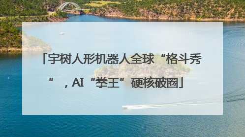 宇树人形机器人全球“格斗秀”，AI“拳王”硬核破圈