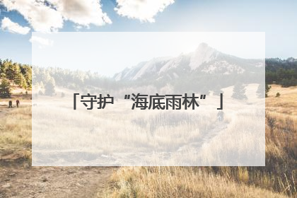 守护“海底雨林”