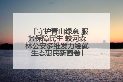 守护青山绿意 服务保障民生 蛟河森林公安多维发力绘就生态惠民新画卷
