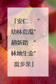 安仁：“幼林套瓜”趟新路 “林地生金”富乡亲