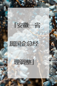 安徽一省属国企总经理调整