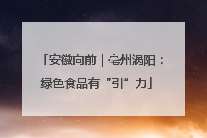 安徽向前｜亳州涡阳：绿色食品有“引”力