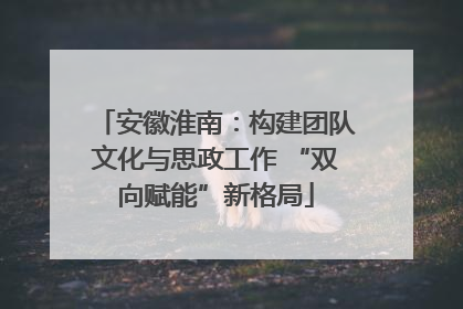 安徽淮南：构建团队文化与思政工作 “双向赋能”新格局
