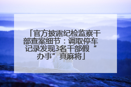 官方披露纪检监察干部查案细节：调取停车记录发现3名干部假“办事”真麻将