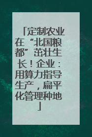 定制农业在“北国粮都”茁壮生长！企业：用算力指导生产，扁平化管理种地
