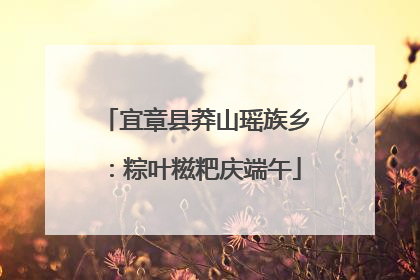 宜章县莽山瑶族乡：粽叶糍粑庆端午