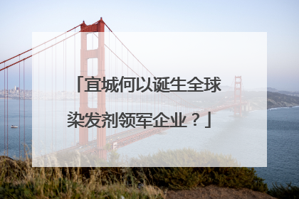 宜城何以诞生全球染发剂领军企业？