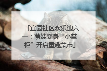 宜园社区欢乐迎六一：萌娃变身“小掌柜”开启童趣集市