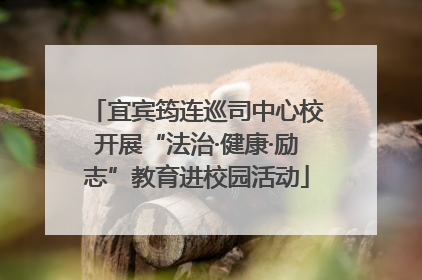 宜宾筠连巡司中心校开展“法治·健康·励志”教育进校园活动