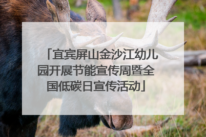 宜宾屏山金沙江幼儿园开展节能宣传周暨全国低碳日宣传活动