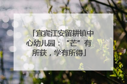 宜宾江安留耕镇中心幼儿园：“芒”有所获，学有所得