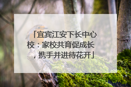 宜宾江安下长中心校：家校共育促成长，携手并进待花开
