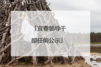 宜春领导干部任前公示