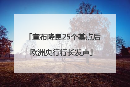 宣布降息25个基点后 欧洲央行行长发声