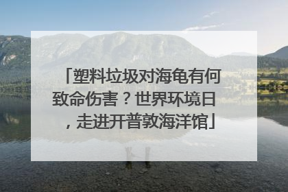 塑料垃圾对海龟有何致命伤害？世界环境日，走进开普敦海洋馆