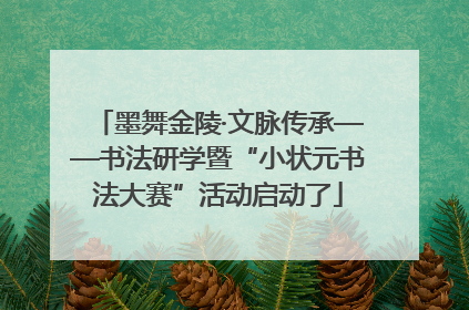 墨舞金陵·文脉传承——书法研学暨“小状元书法大赛”活动启动了