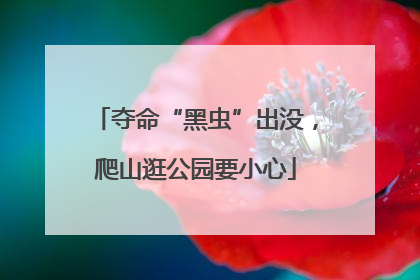 夺命“黑虫”出没，爬山逛公园要小心