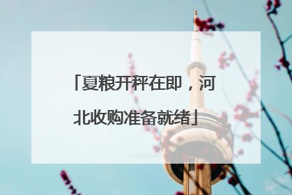夏粮开秤在即，河北收购准备就绪